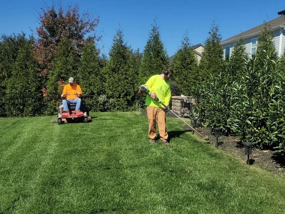 A lawn care crew mowing and trimming a striped backyard lawn